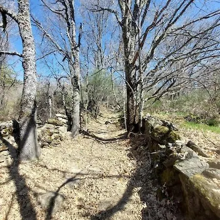 La Casaca En Plena Sierra De Gredos Los Narros